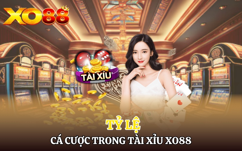 Tỷ lệ cá cược trong Tài Xỉu Xo88