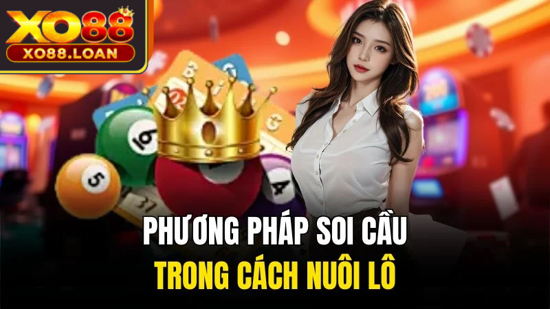 Phương pháp soi cầu trong cách nuôi lô